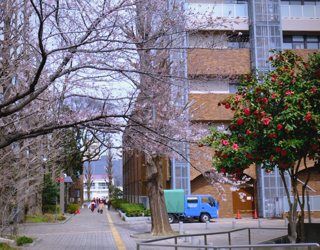 御茶水女子大学